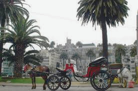 City Tour Privado por Valparaiso